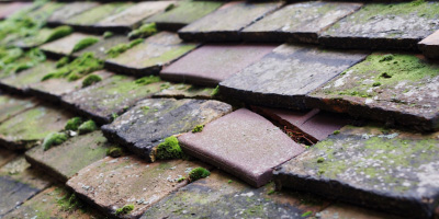 Canvey Island roof repair costs